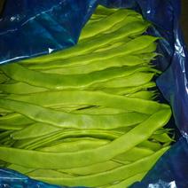 绿扁豆2厘米以上15厘米以上