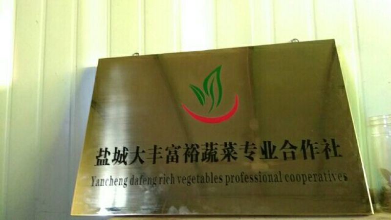 红根蒜苗，产地直供量大从优，欢迎新老朋友前来订购！