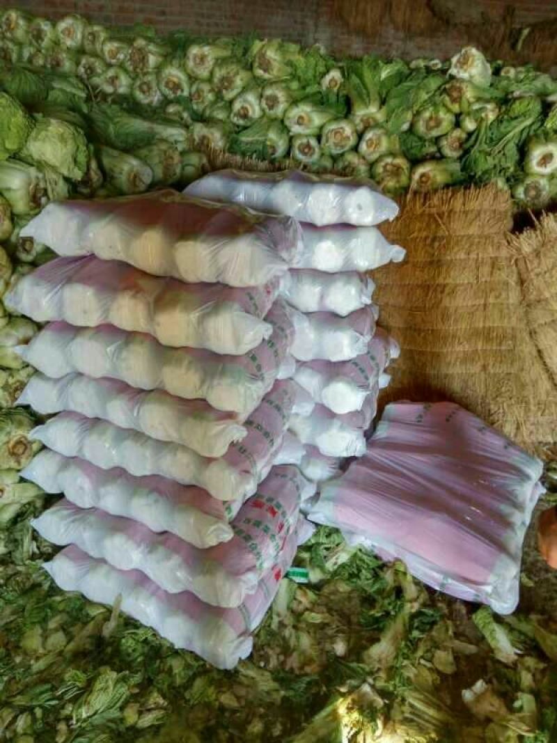 北京新三号白菜7斤以上毛菜