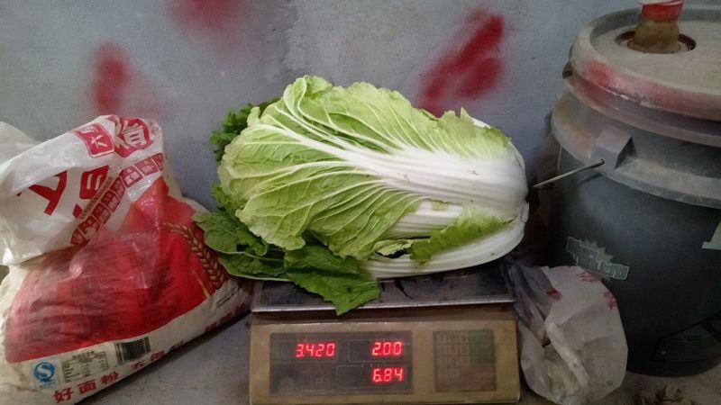 青杂三号白菜净菜4~6斤