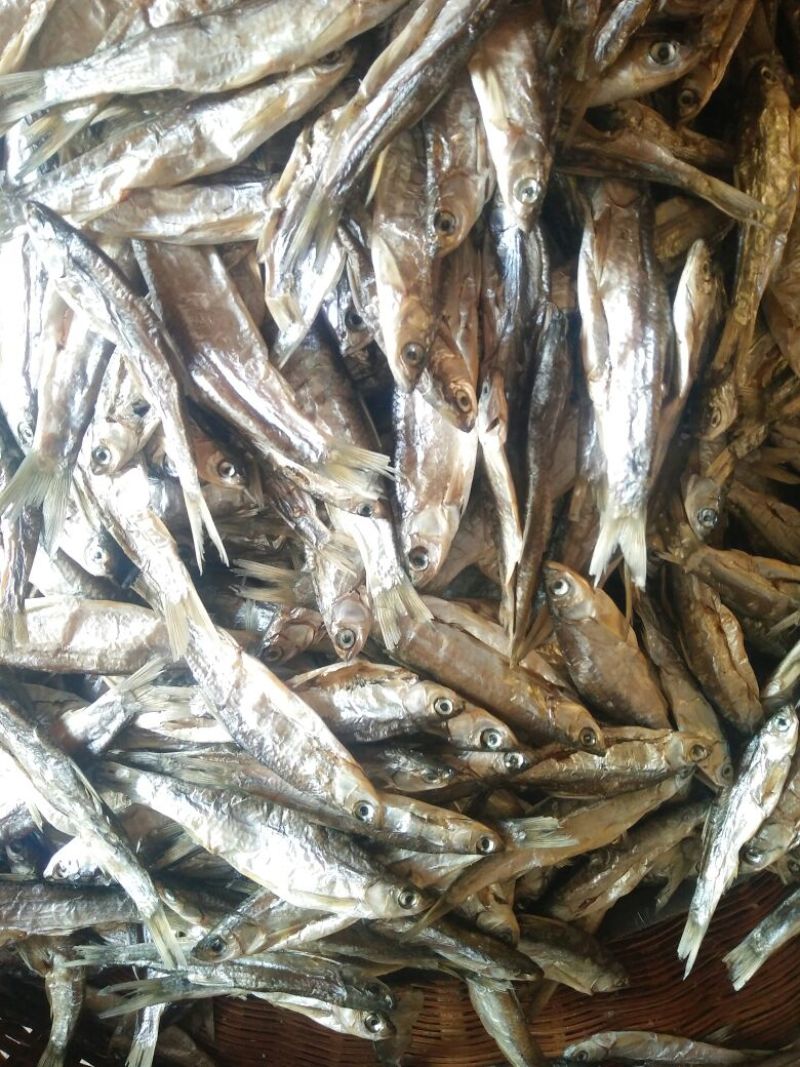 鱼干烤鱼干