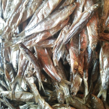 鱼干烤鱼干