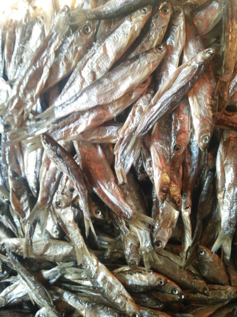 鱼干烤鱼干