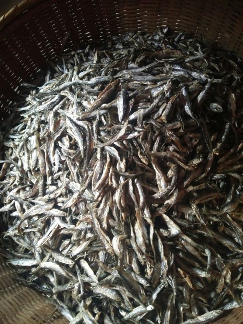 鱼干烤鱼干
