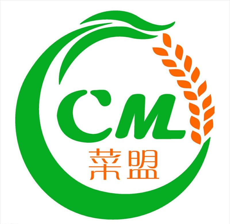 商薯193两以上商品薯白心