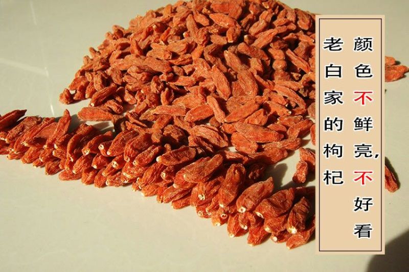 枸杞干货头茬
