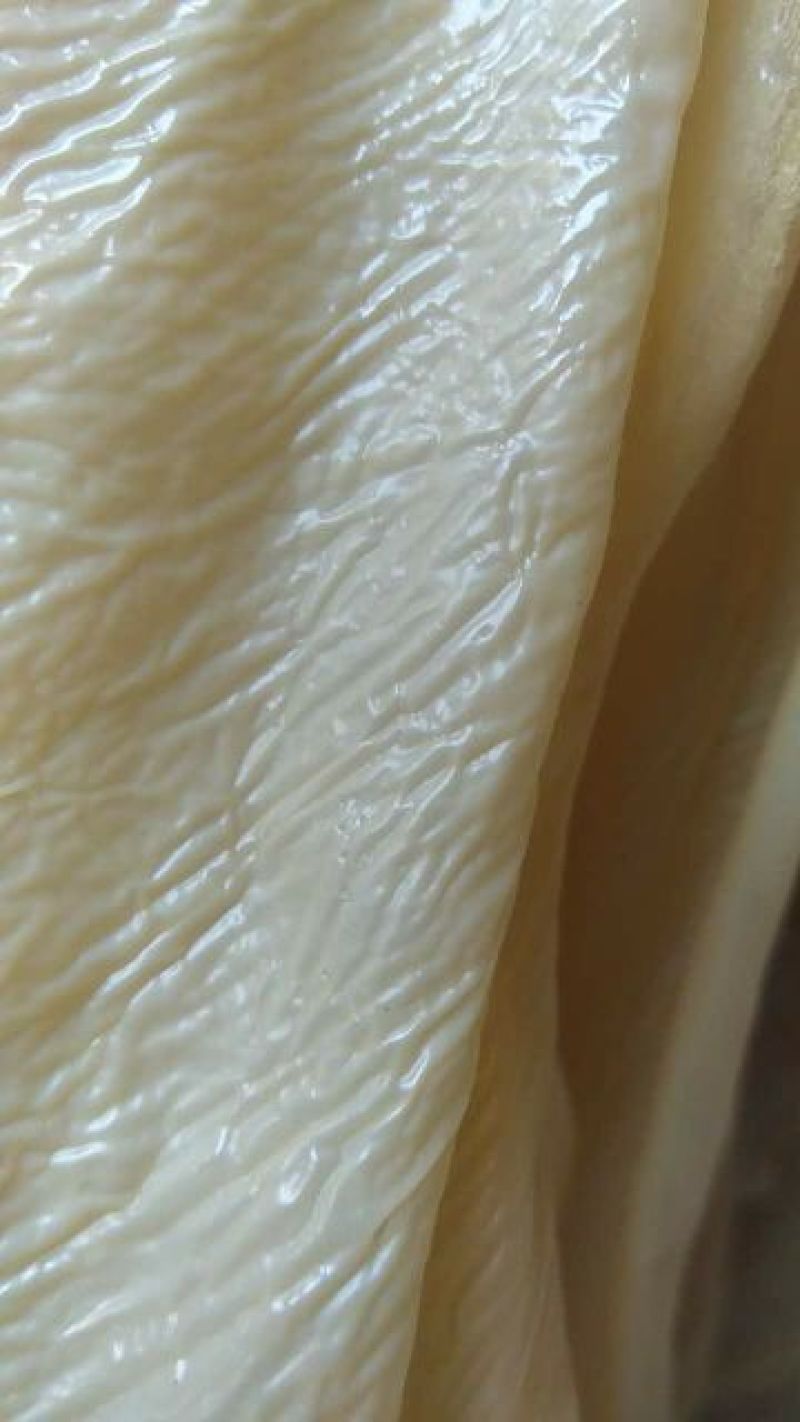 豆腐皮