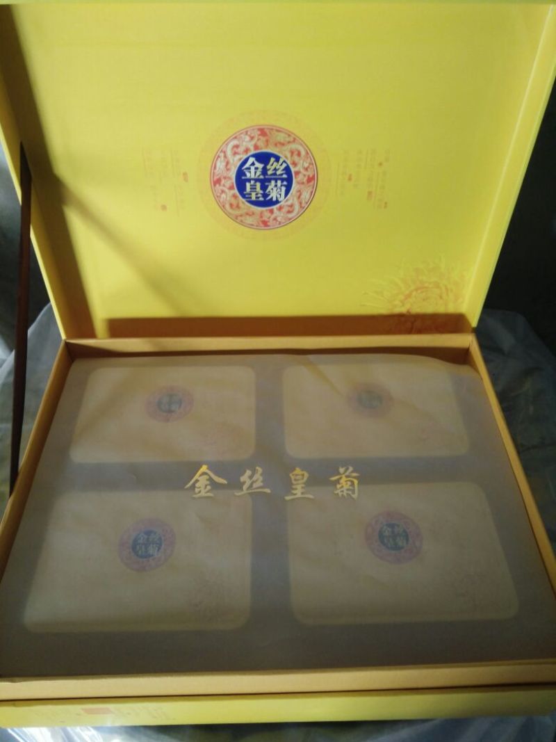 皇菊0.5米以下