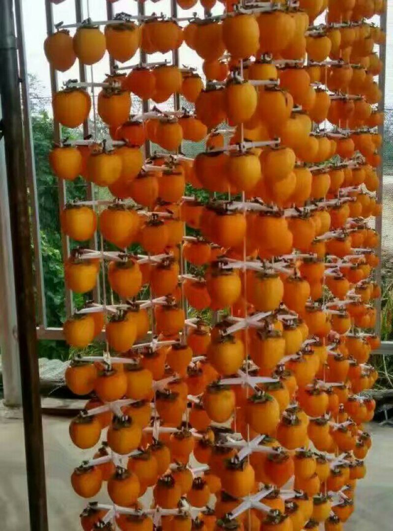 柿饼1~2两