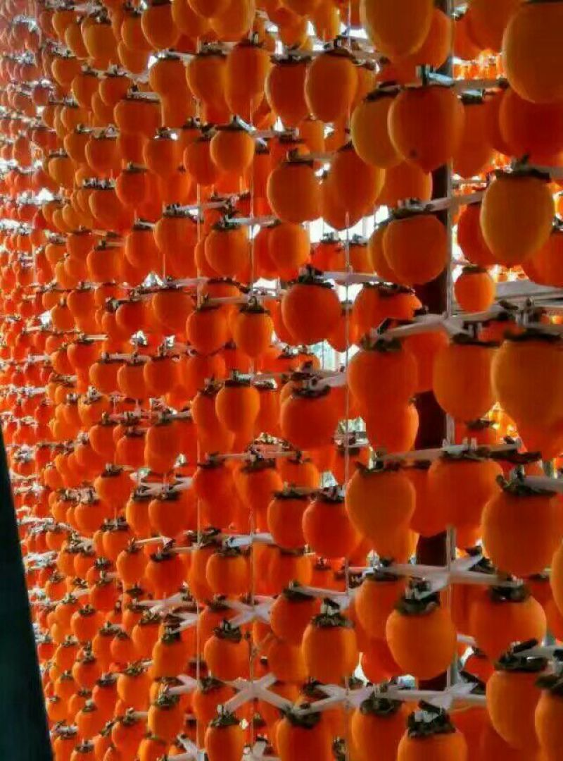 柿饼1~2两