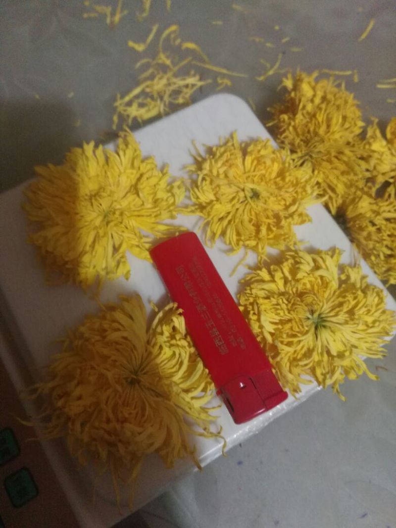 金丝皇菊茶一级
