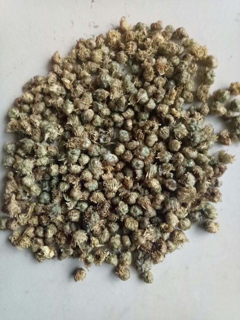 杭白菊散装