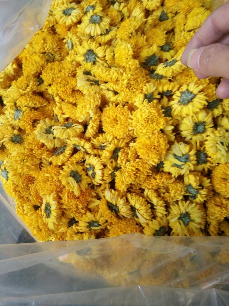 皇菊茶特级