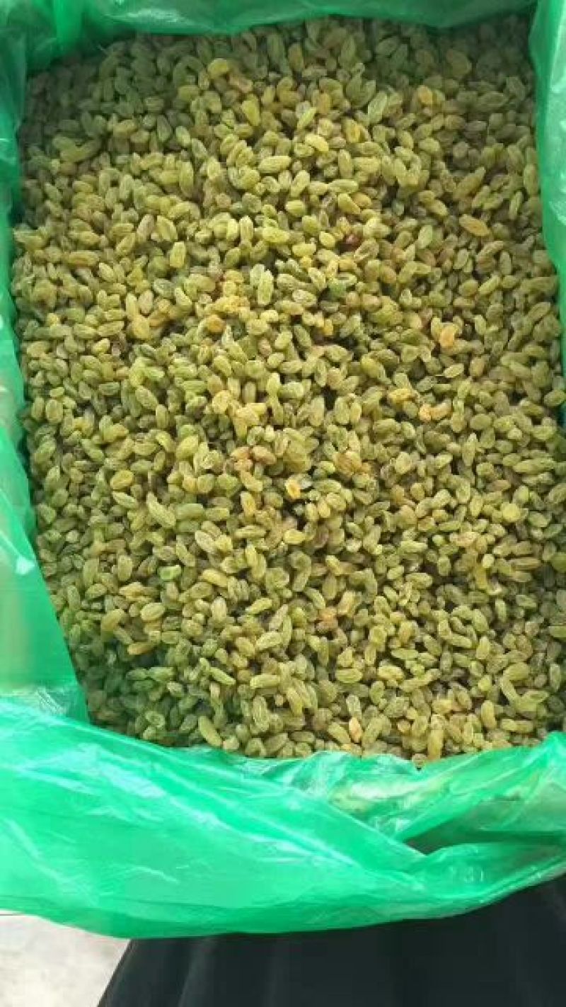 新疆红枣干枣通货