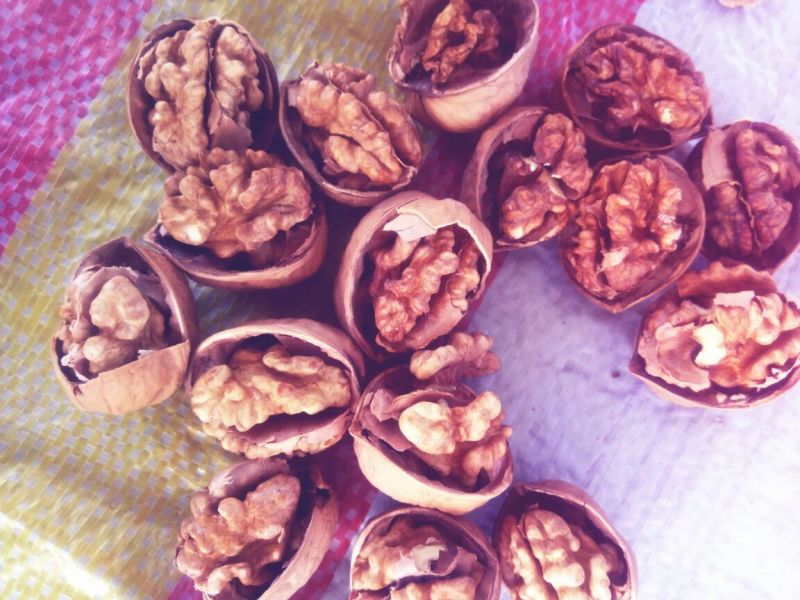新疆红枣干枣通货