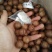 夏威夷果带壳