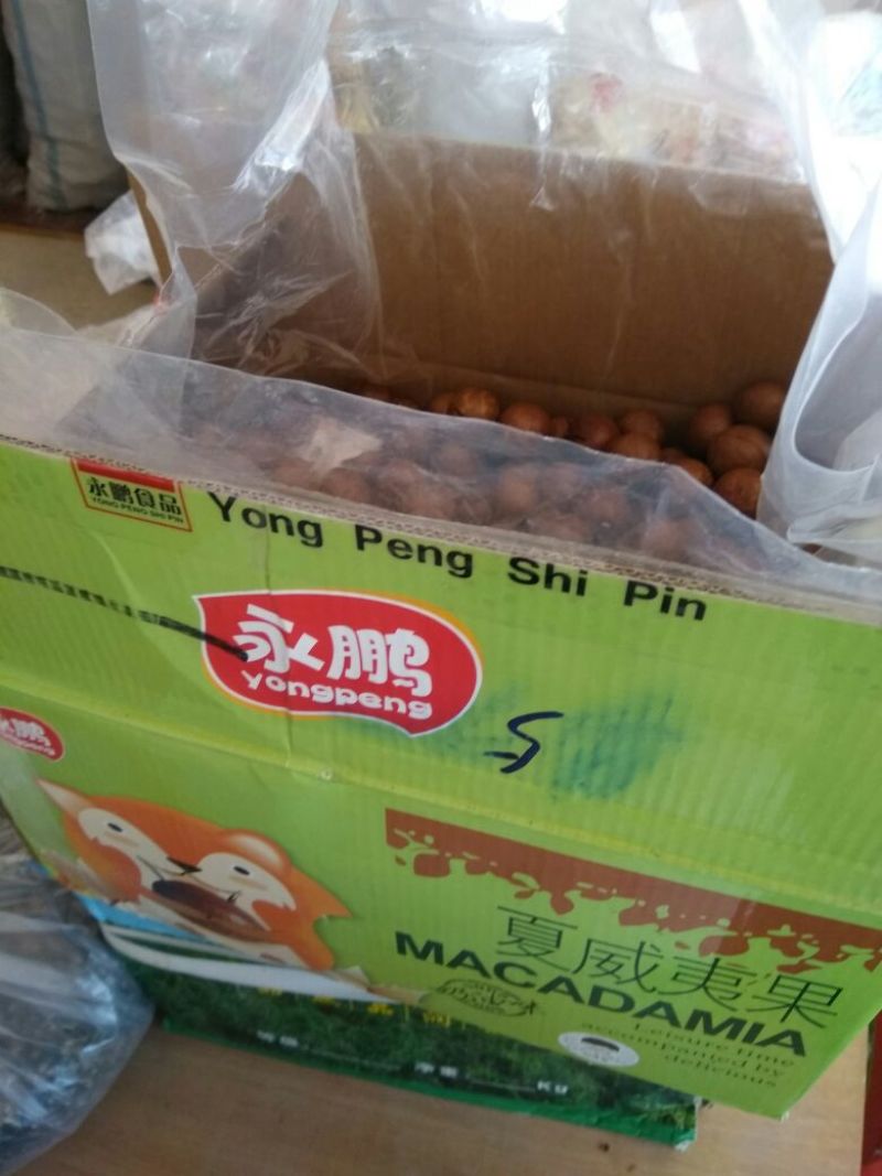 夏威夷果带壳