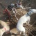 猎兔犬公
