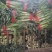 尖叶莴笋1.5~2斤40~50cm，