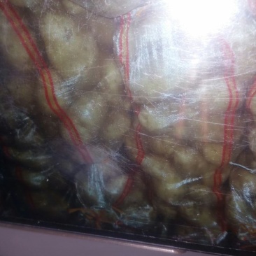 荷兰十五土豆通货3两以上