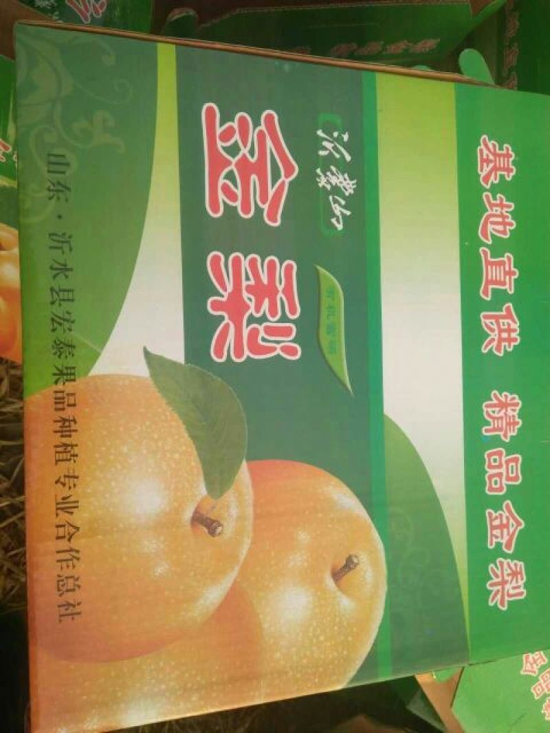 梨丰水梨产地大量供应中货源充足口感脆甜一级棒