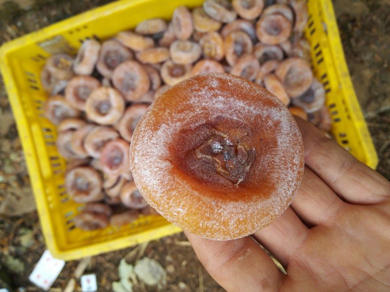 柿饼1~2两