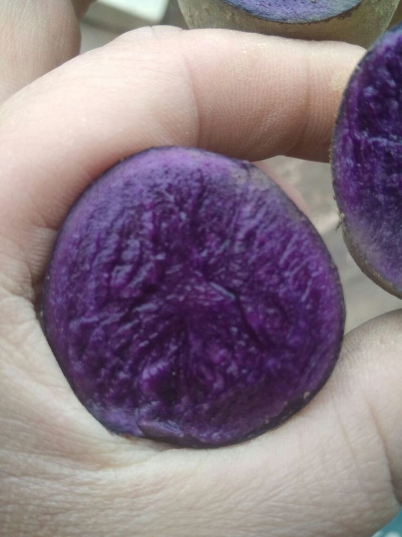 黑彩土豆黑金刚土豆，含花青素