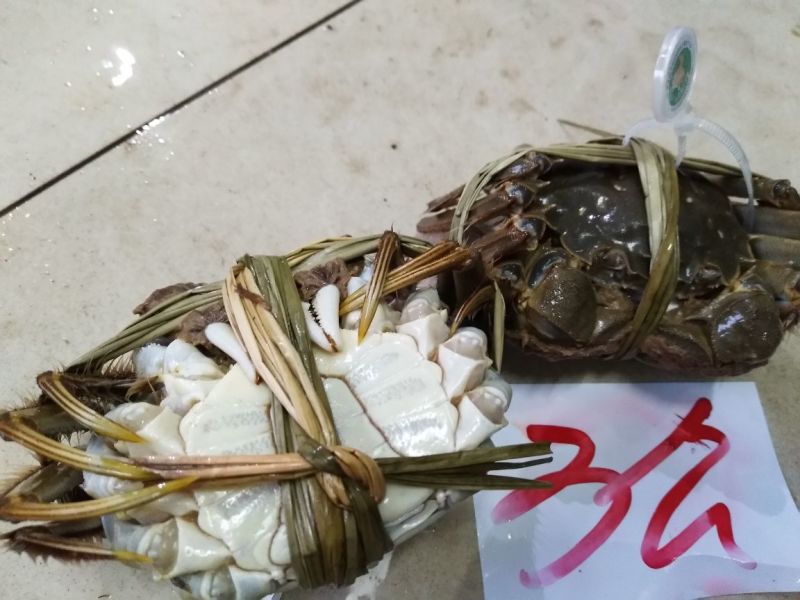 【精品】固城湖大闸蟹公蟹3.0两新鲜食用，质量保证