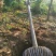 栾树16~18cm12~14cm4米以上