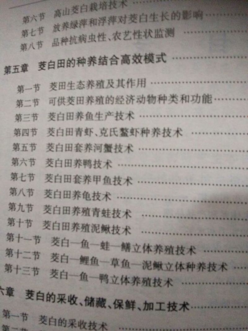 百度岳西茭白优质双季茭白老根种苗纯度高量大协助销售
