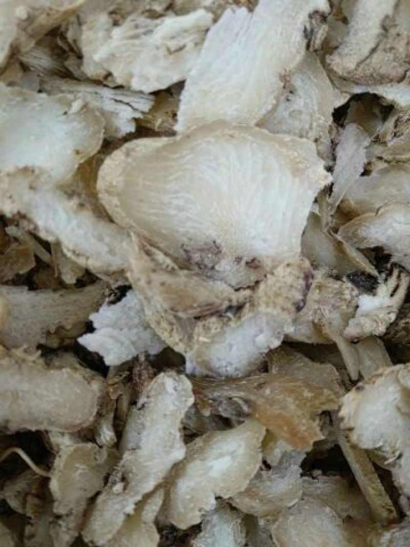 三叉白芨干货统货