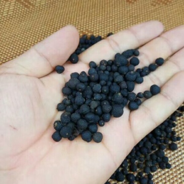 柑普茶特级