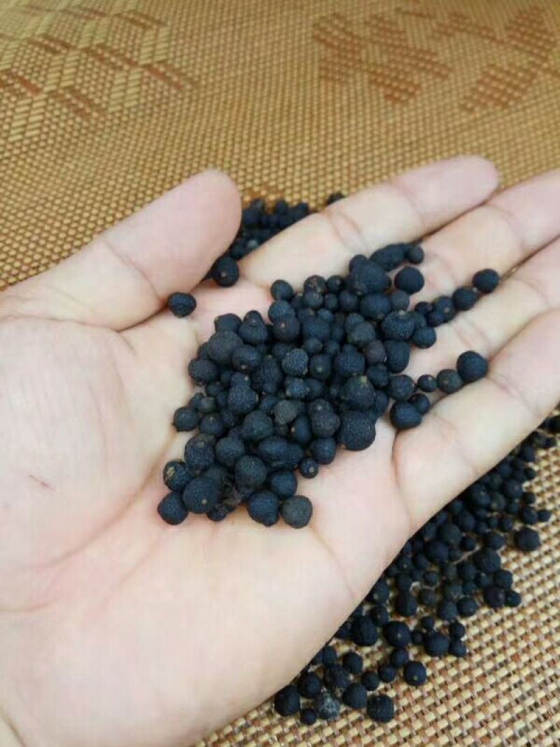 柑普茶特级