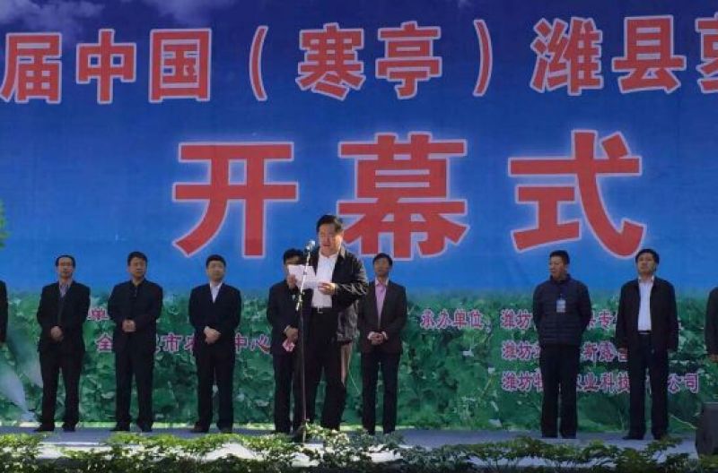 潍县青萝卜1~1.5斤起