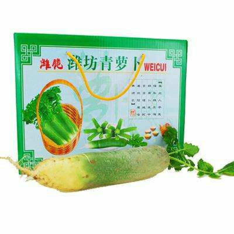 潍县青萝卜1~1.5斤起