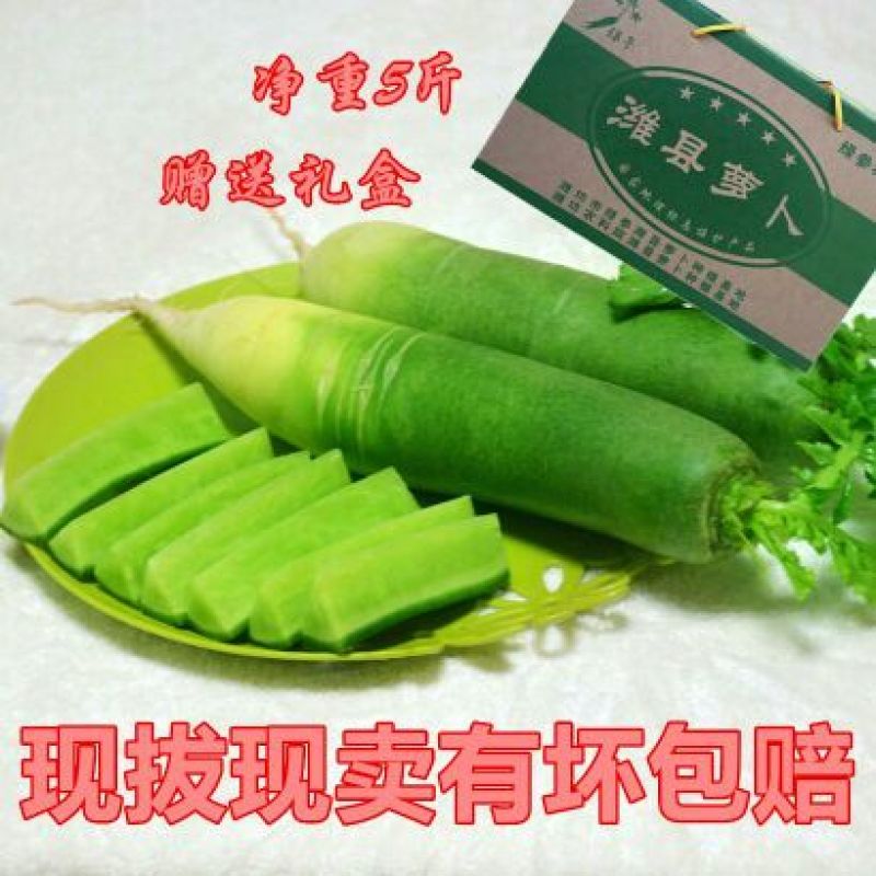 潍县青萝卜1~1.5斤起