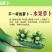 潍县青萝卜1~1.5斤起