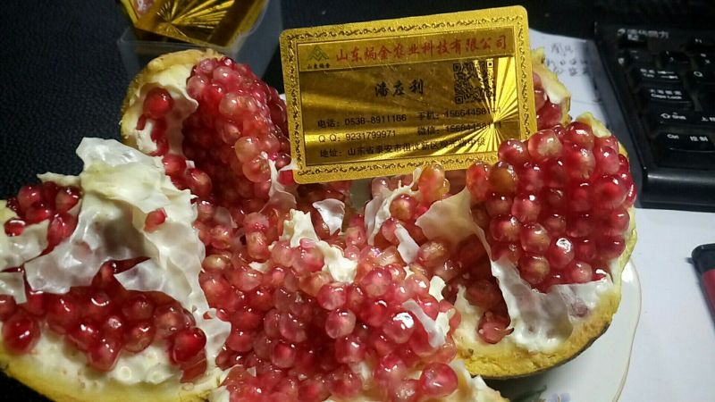 泰山红甜石榴苗突尼斯软籽石榴树苗全国可栽植