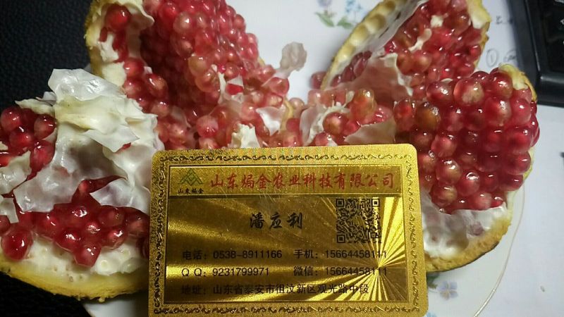 泰山红甜石榴苗突尼斯软籽石榴树苗全国可栽植