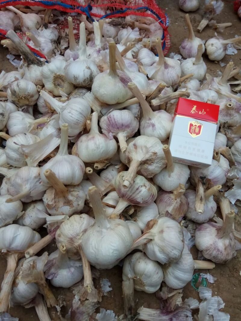 金乡大蒜混级统货干蒜