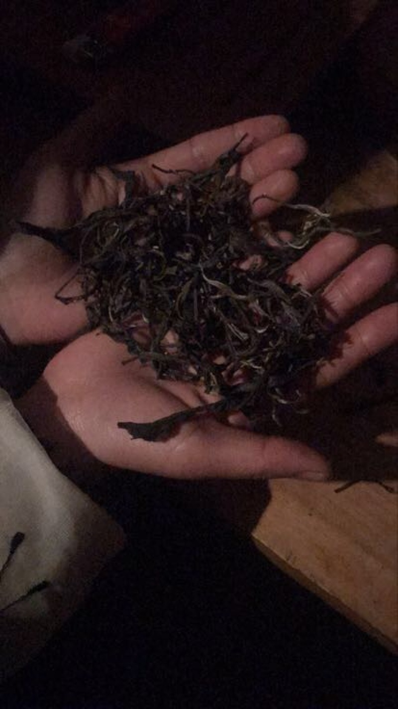 普洱茶一级