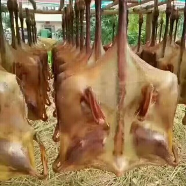 腊鸭