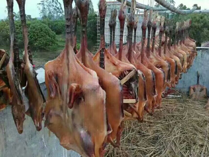腊鸭