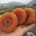 柿饼1~2两