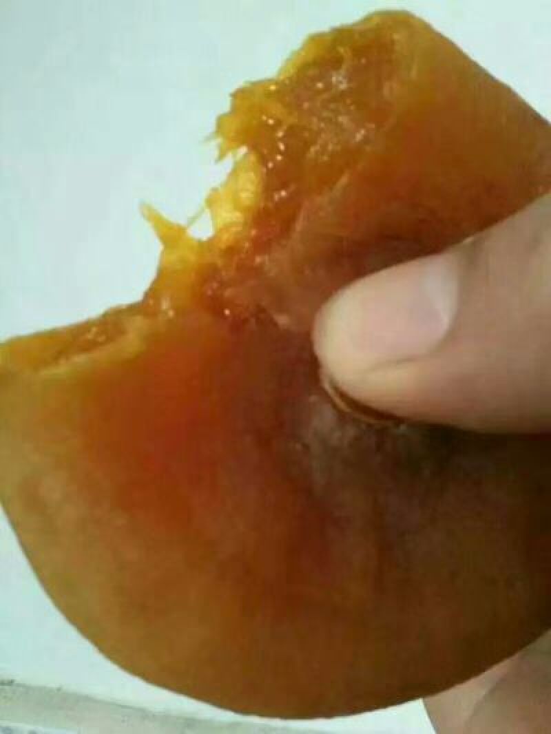 柿饼1~2两