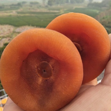 柿饼1~2两