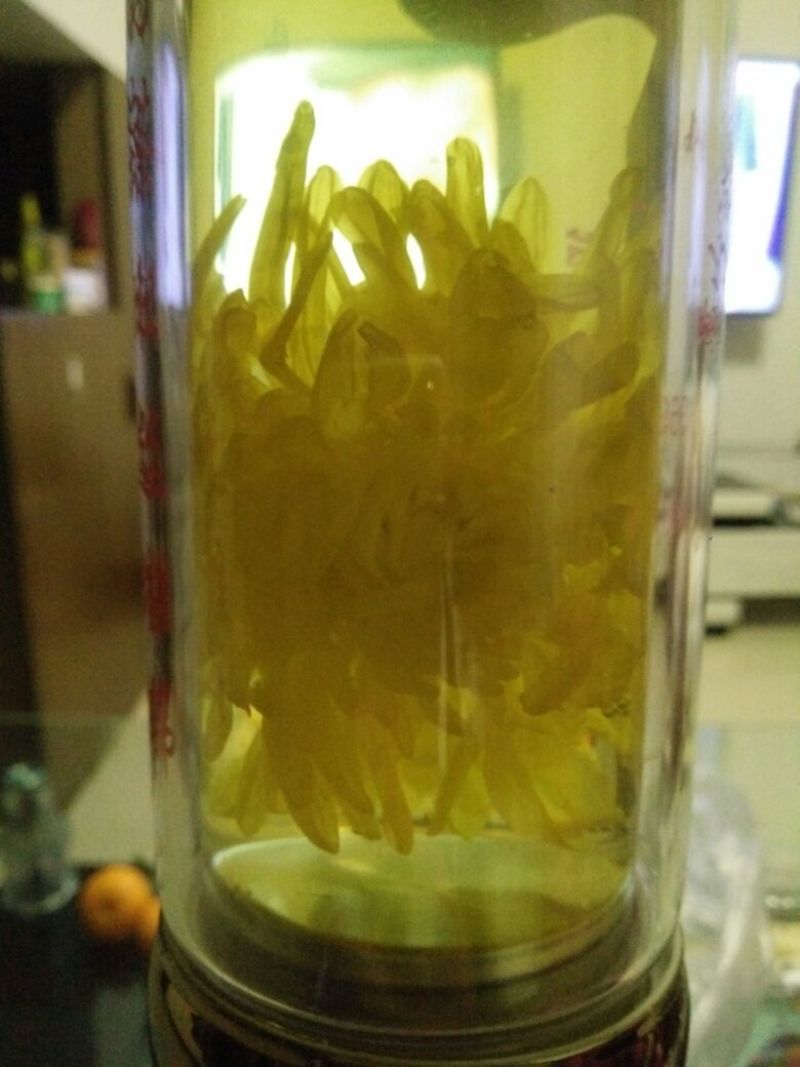 菊花茶一级