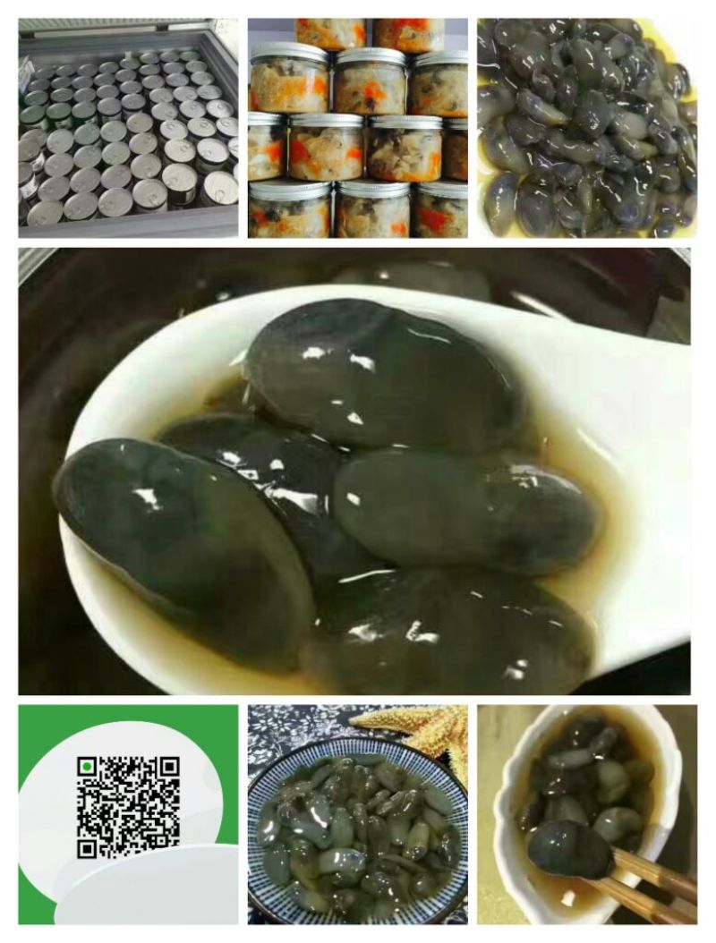 泥螺