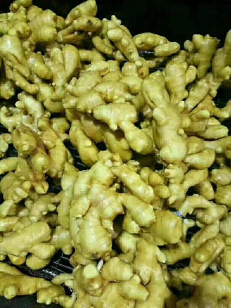 生姜大量生姜产地批发