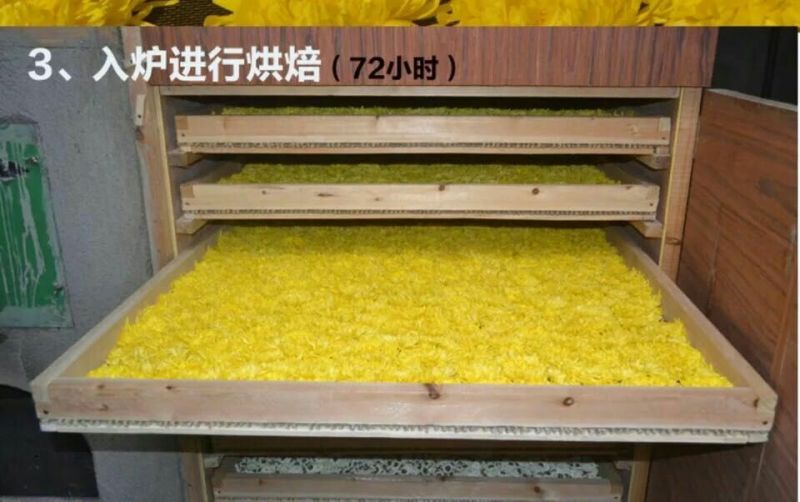 金丝皇菊茶特级